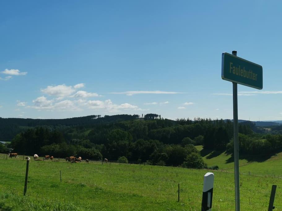 Auszeit, Erholung Mitten In Der Natur - Ferienhaus Im Sauerland In Faulebutter Finnentrop Exterior photo